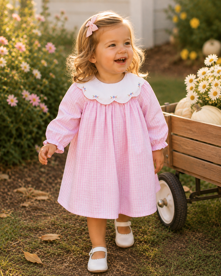 Embroidered Collar Pink Check Dress