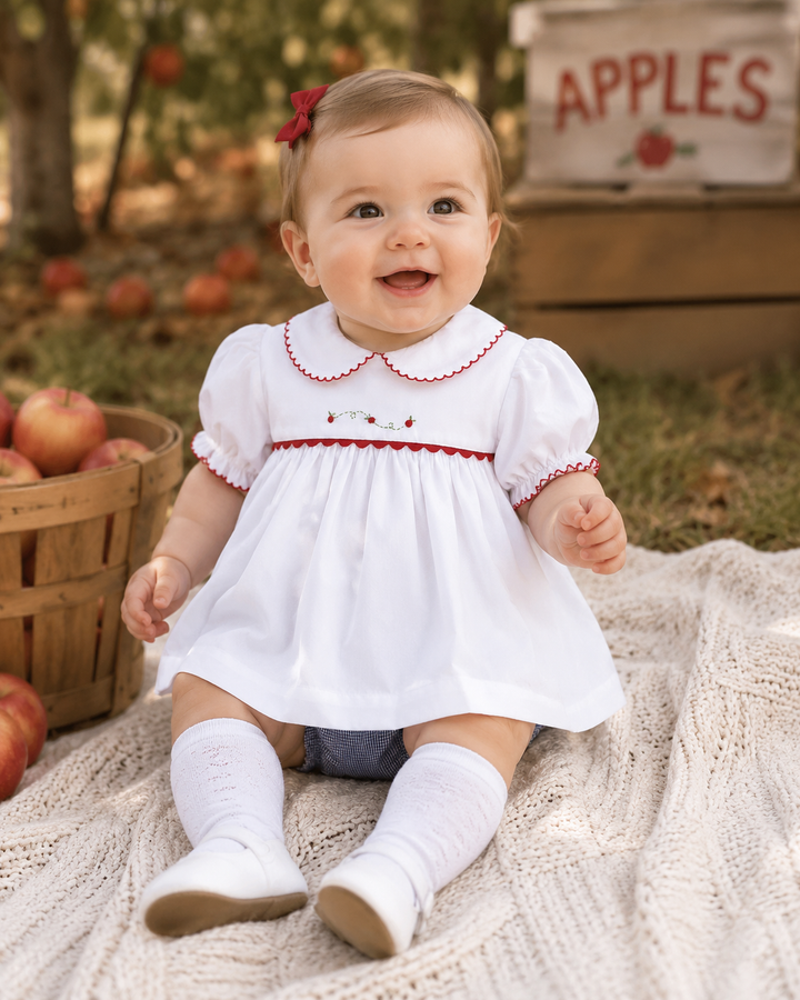 Diaper Set with Hand Embroidered Apples