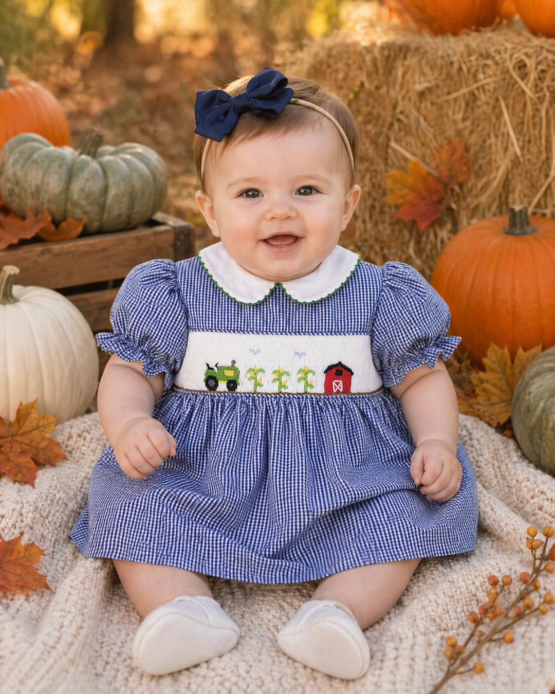 Farm Scene Dress with Hand Picture Smocking