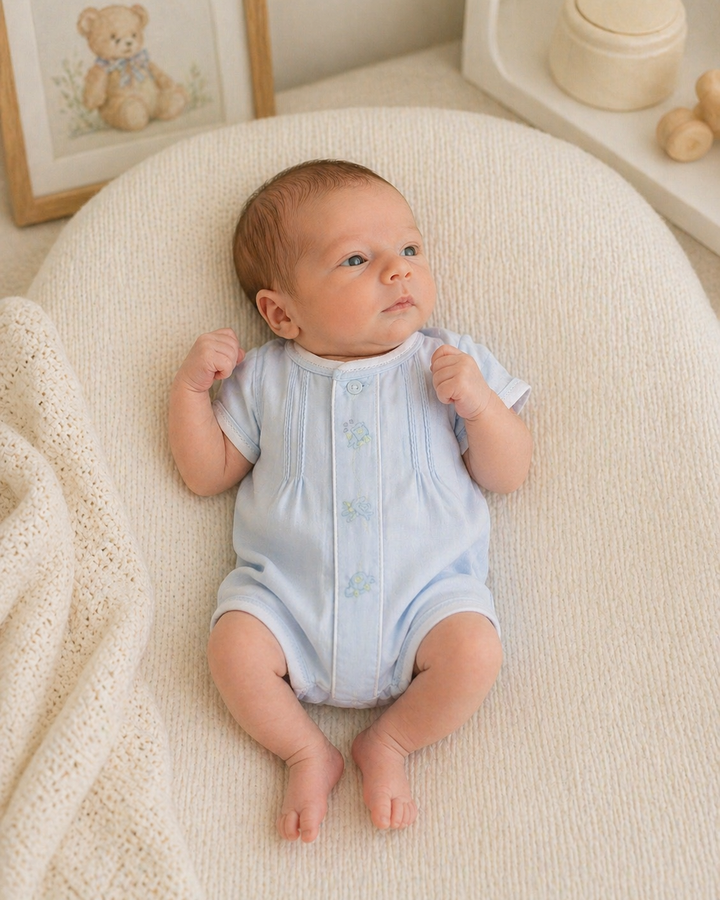 Layette Transportation Shadow Stitch Bubble