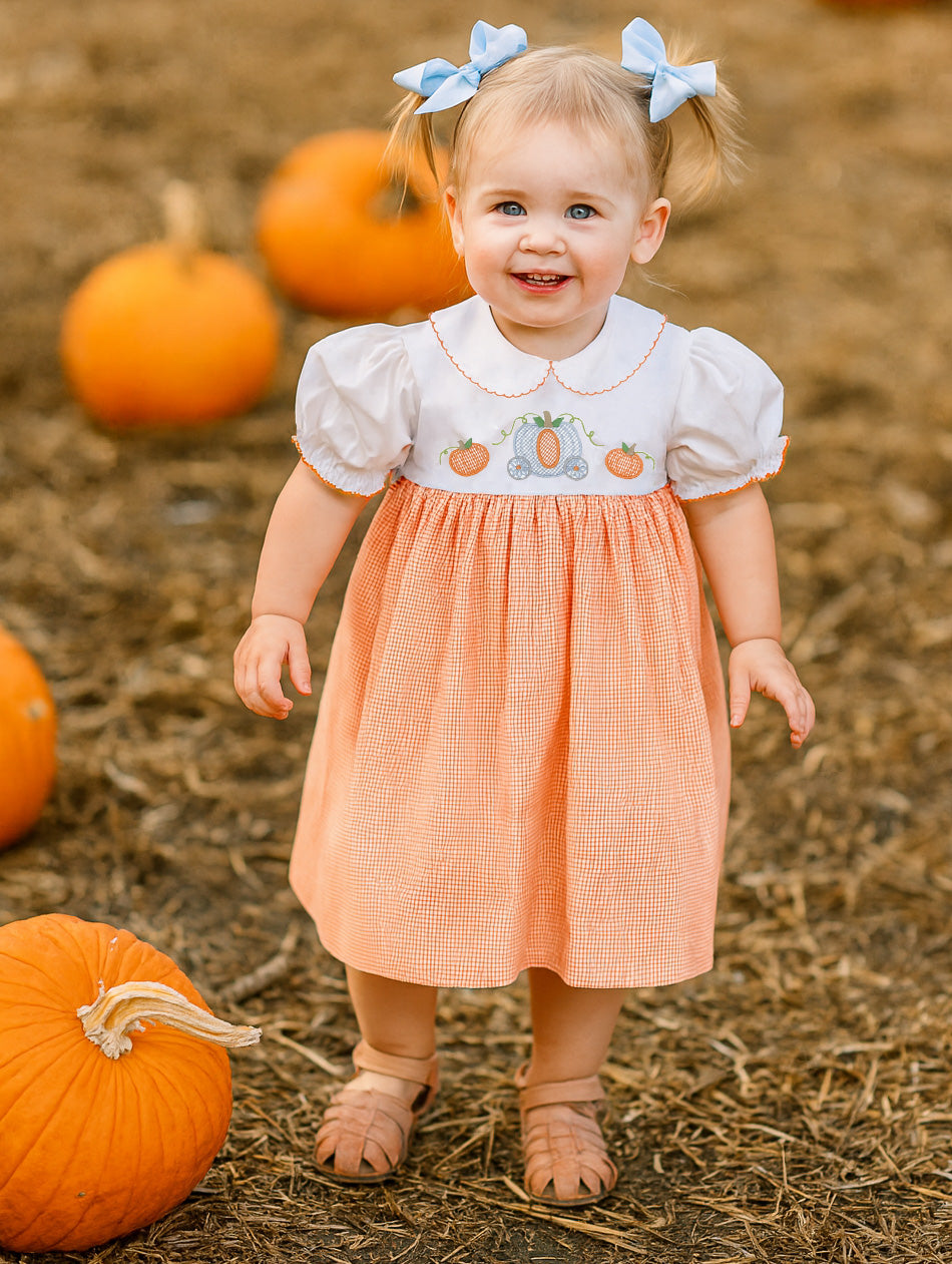 Princess Pumpkin Embroidered Dress