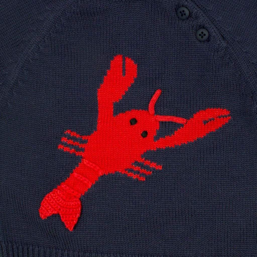 Lobster Knit Sweater (Unisex) - Petit Ami & Zubels All Baby! Sweater