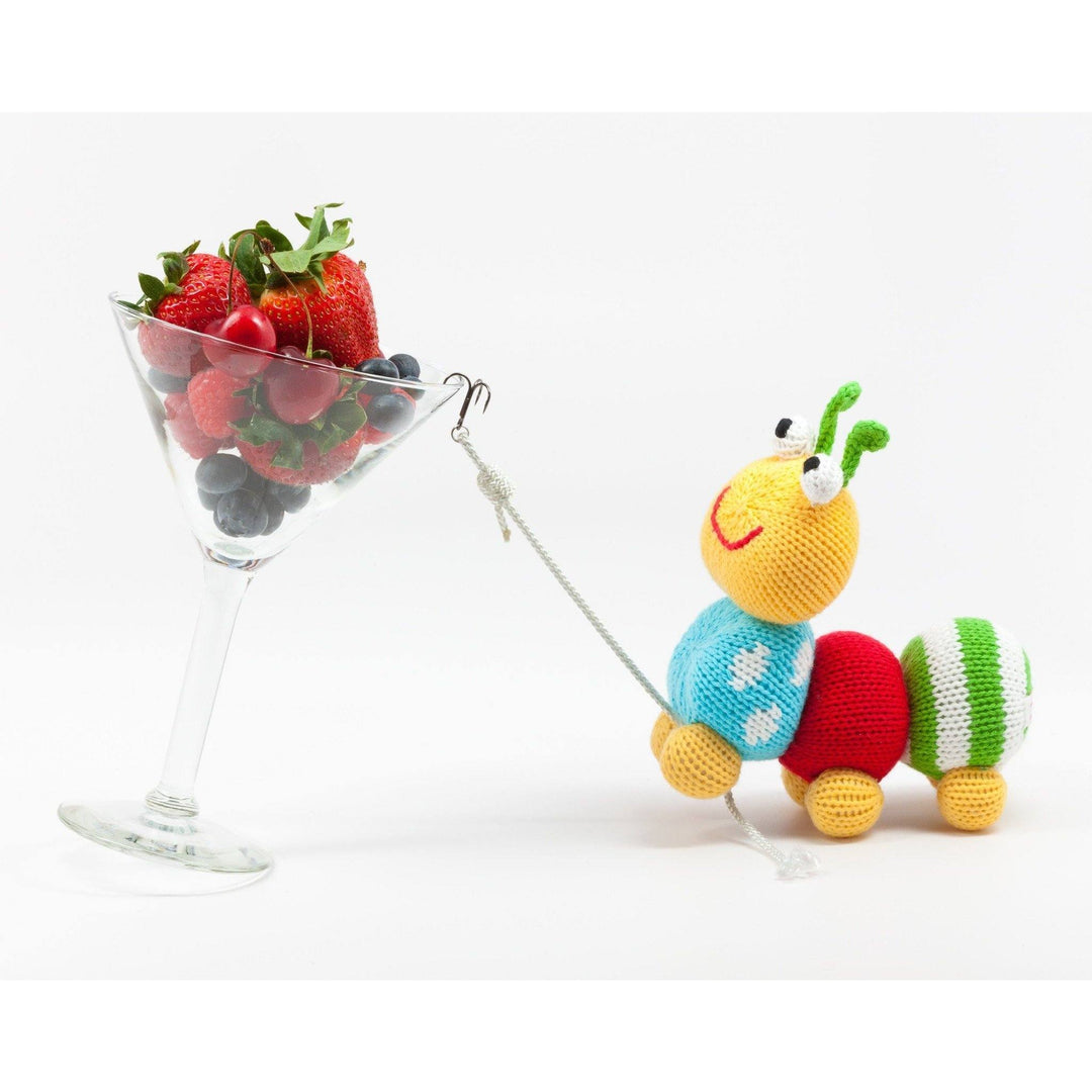 Nibbles the Caterpillar Knit Rattle - Petit Ami &amp; Zubels All Baby! Toy